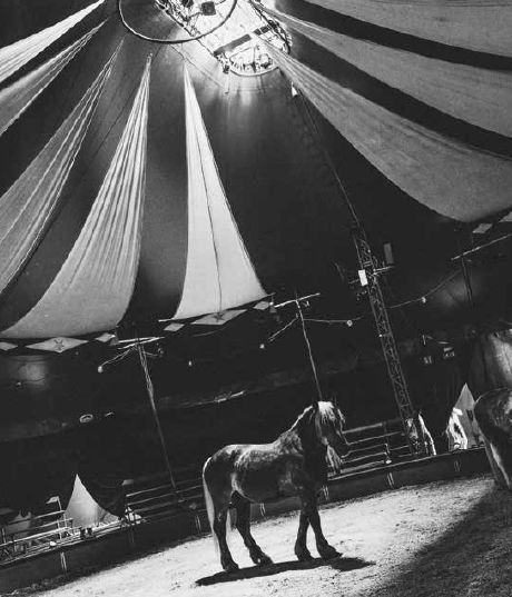 © Antoine Bassaler