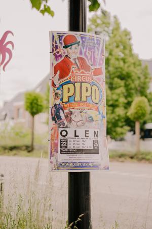 Pipo
